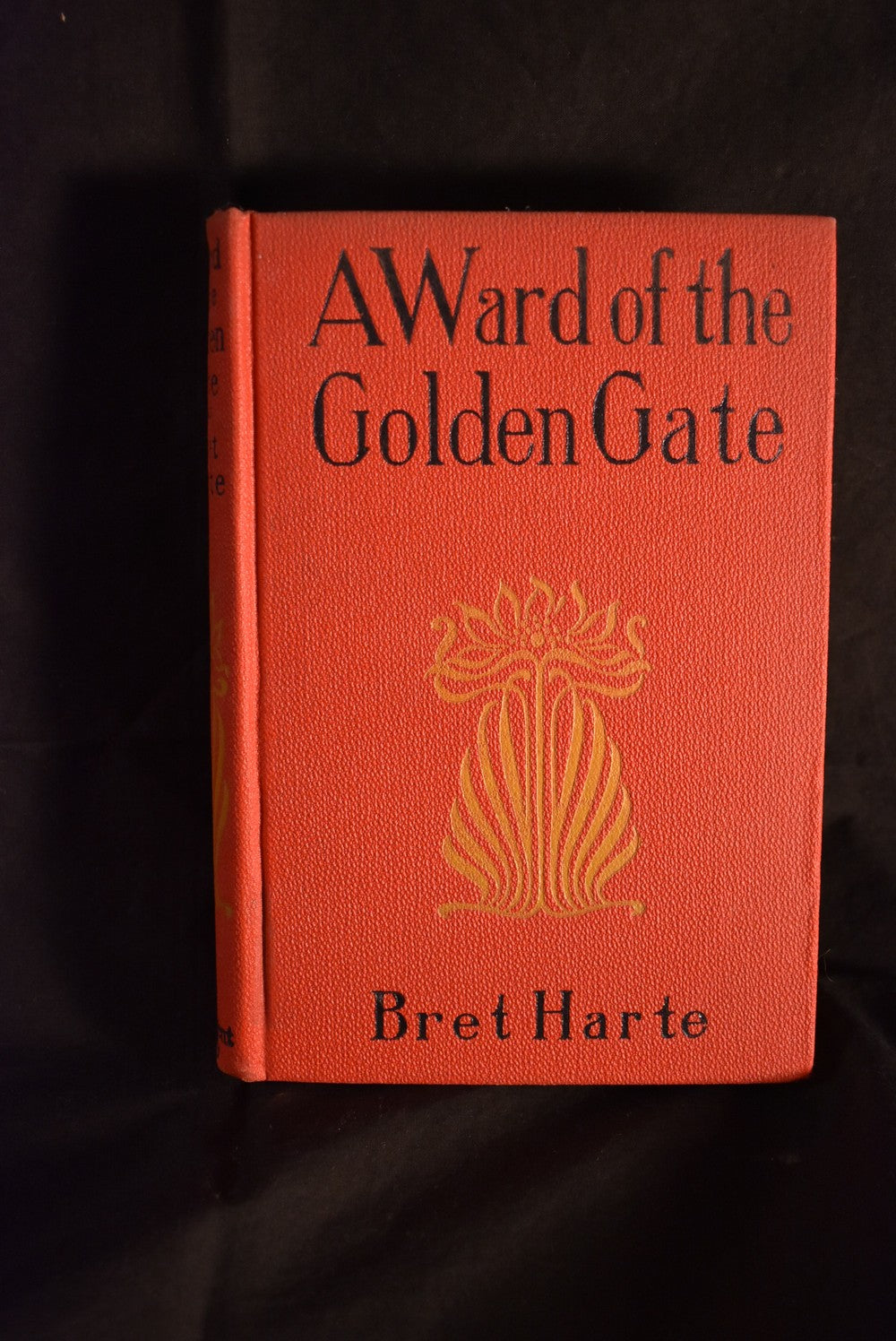 A Ward of the Golden Gate