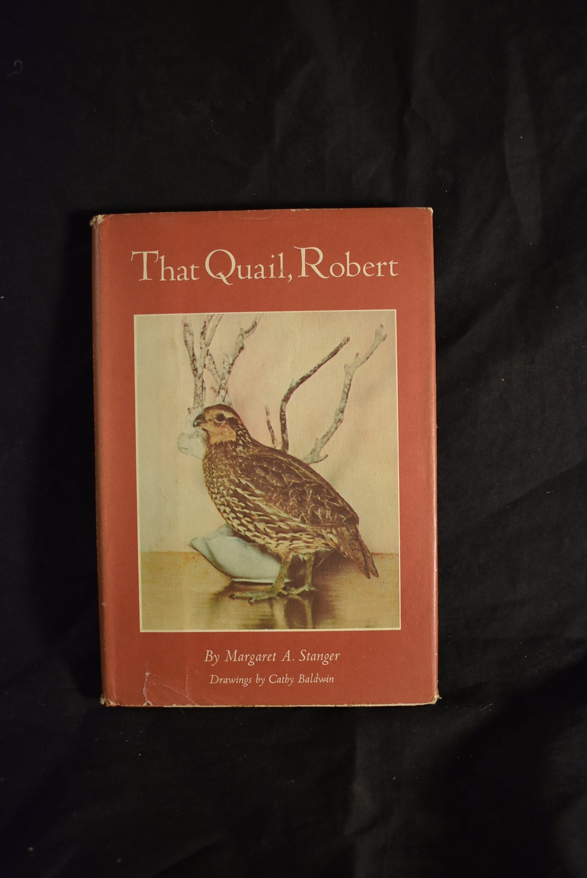 That Quail, Robert