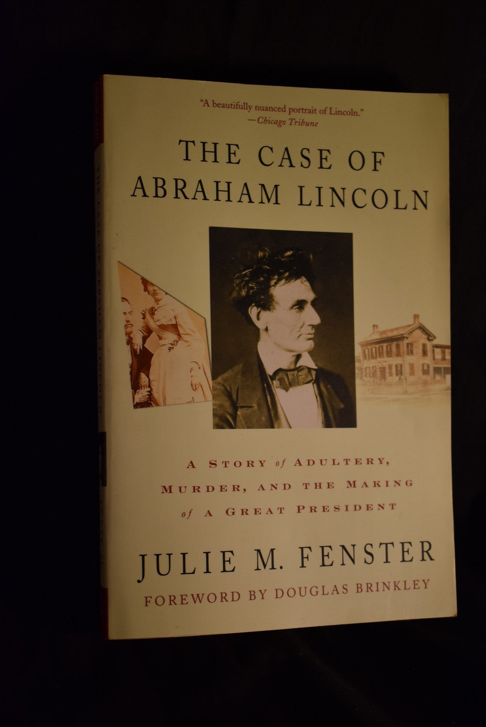 The Case of Abraham Lincoln: A Story of Adultery, Murder, and the Making of a Great President