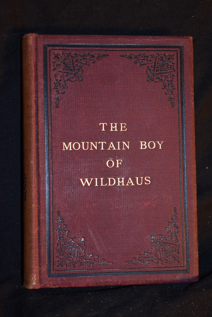 The Mountain Boy of Wildhaus: A Life of Ulric Zwingli