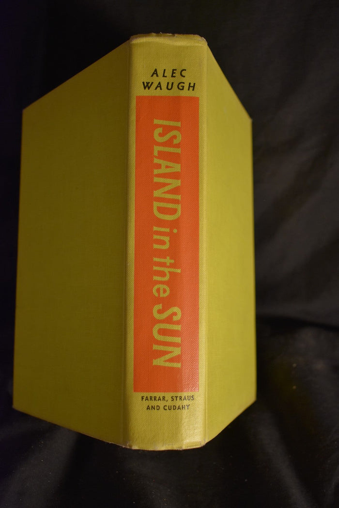 Island in the Sun: A Story of the 1950s Set in the West Indies