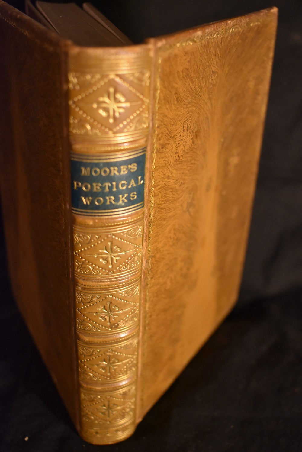 The Poetical Works of Thomas Moore