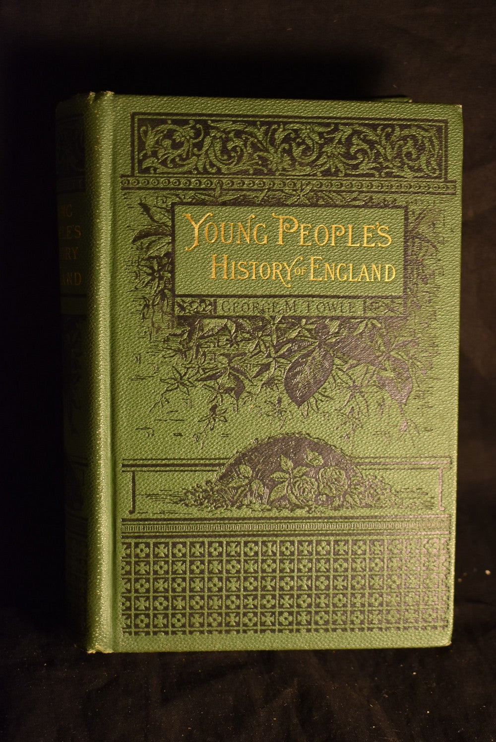 Young People's History of England