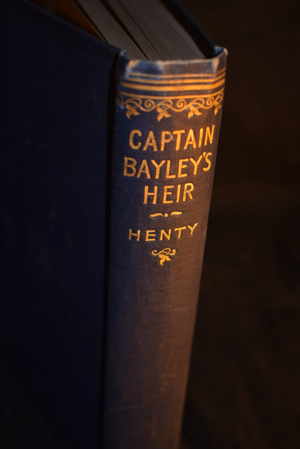 Captain Bayley's Heir: A Tale of the Gold Fields of California