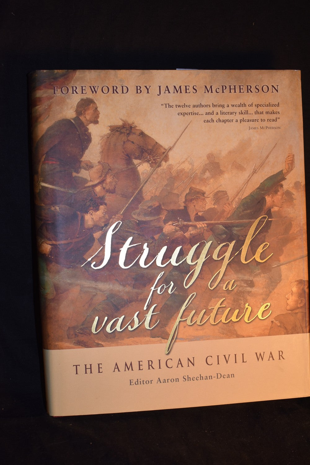 Struggle For A Vast Future - The American Civil War