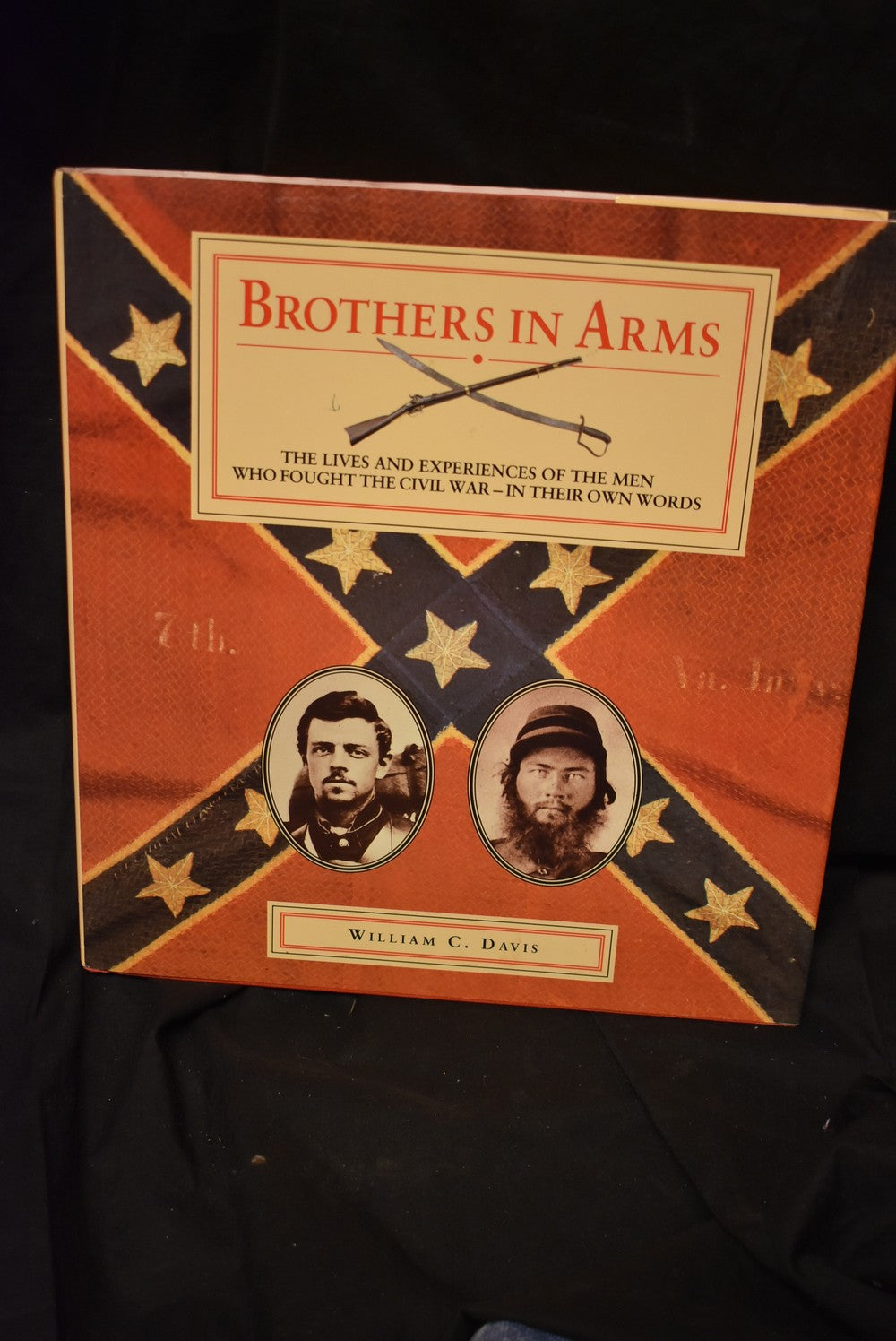 Brothers in Arms: The Lives and Experiences of the Men Who Fought iThe Civil War - In Their Own Words