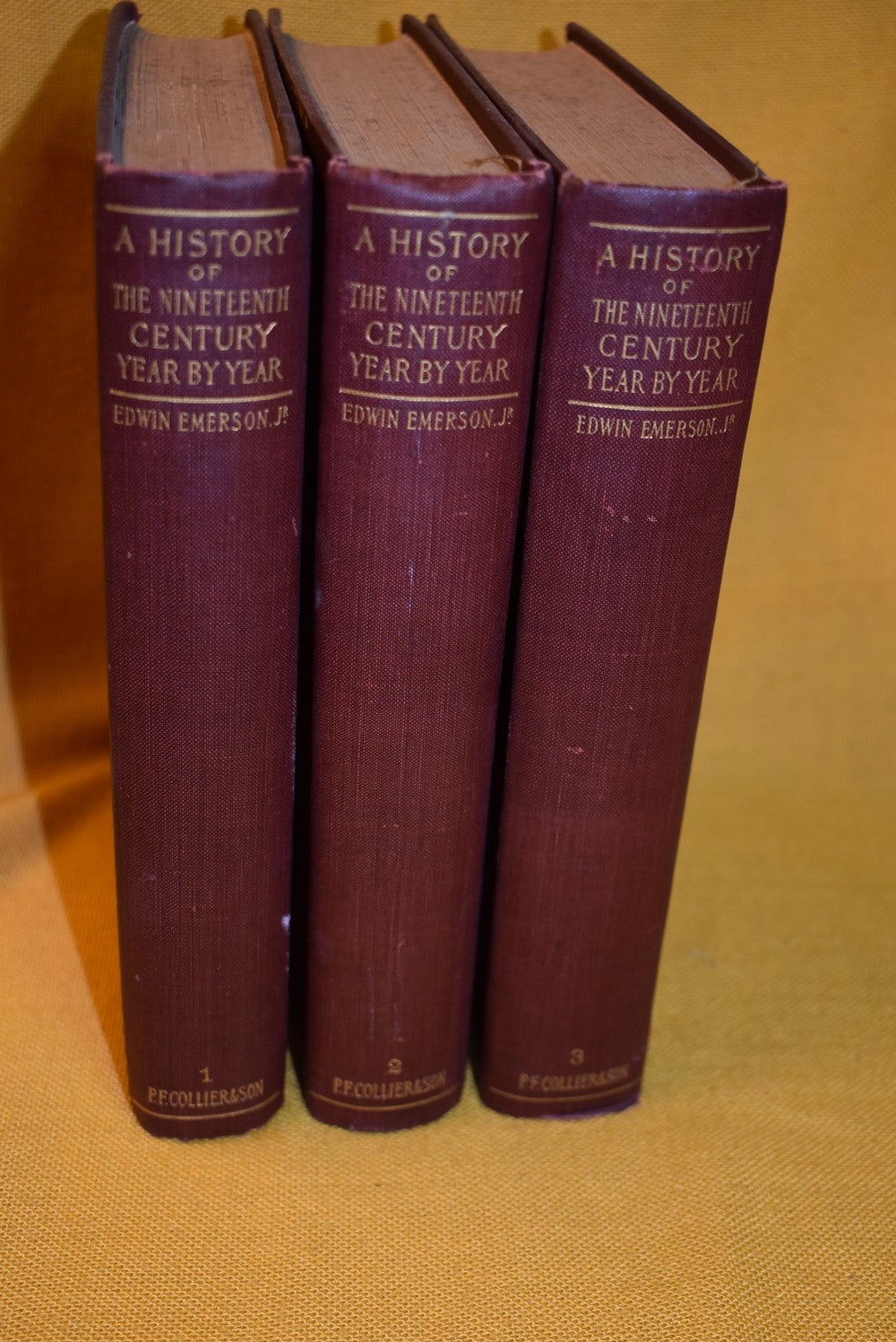 A History of the Nineteenth Century : Year by Year