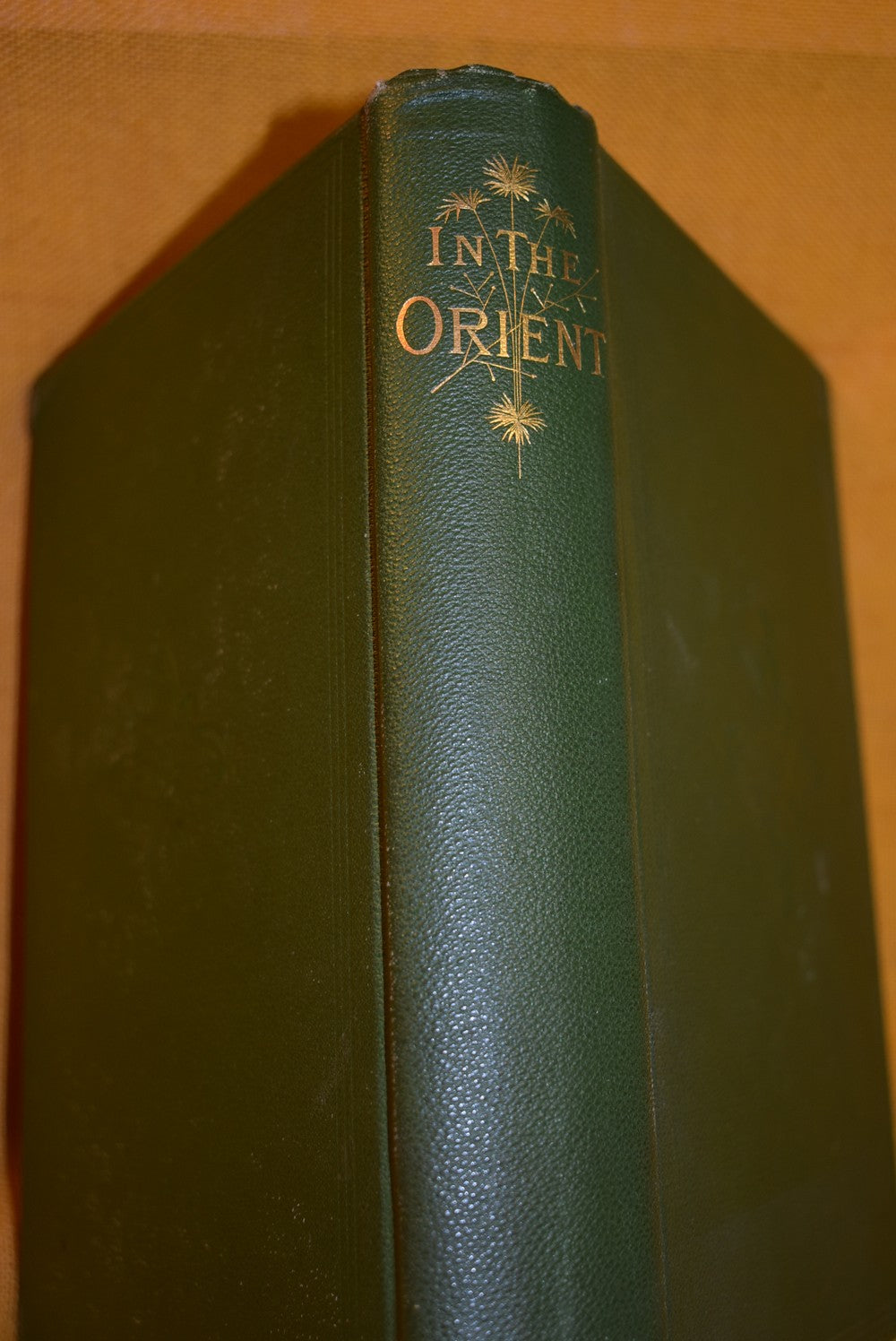 Travels And Observations In The Orient