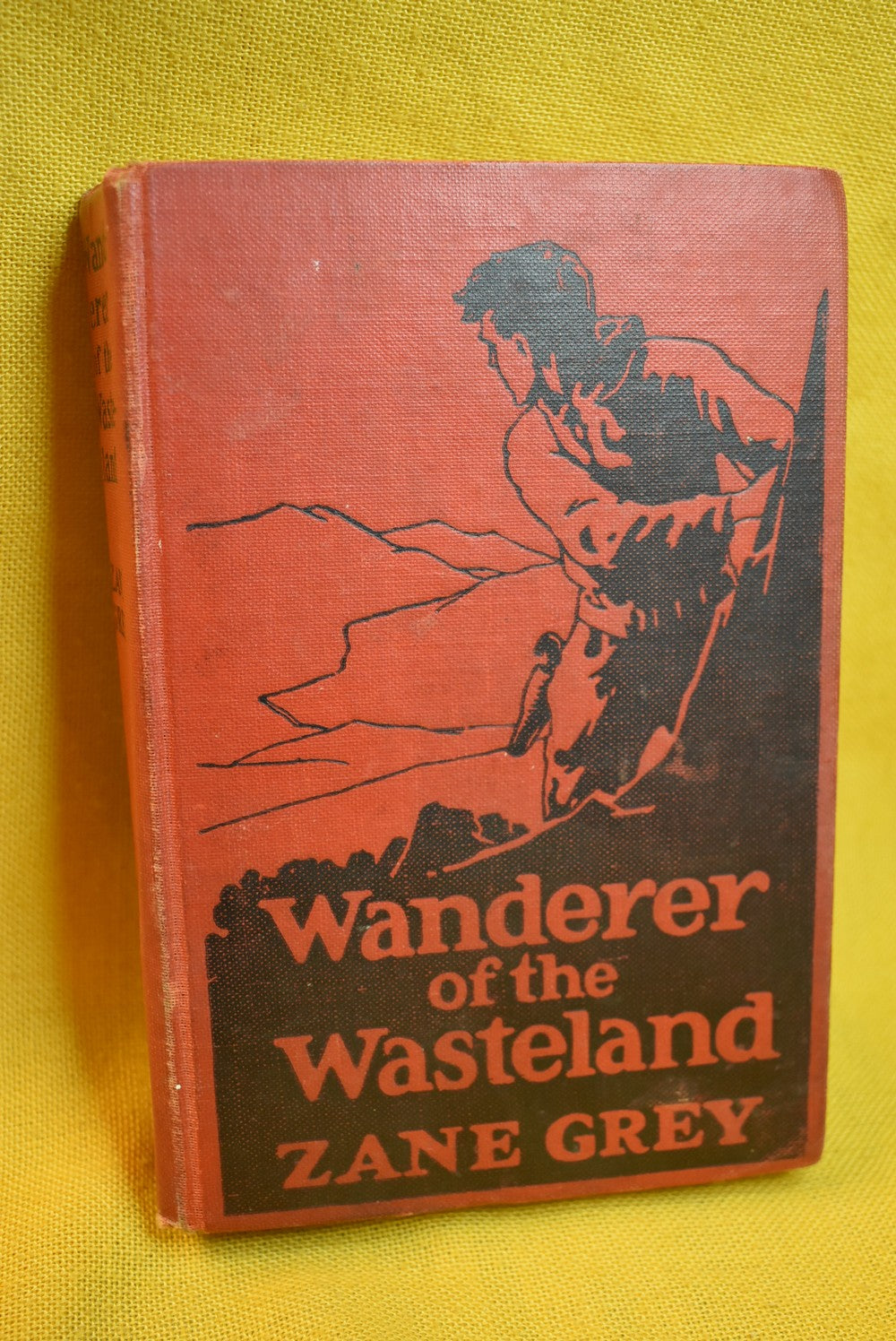 Wanderer of the Wasteland