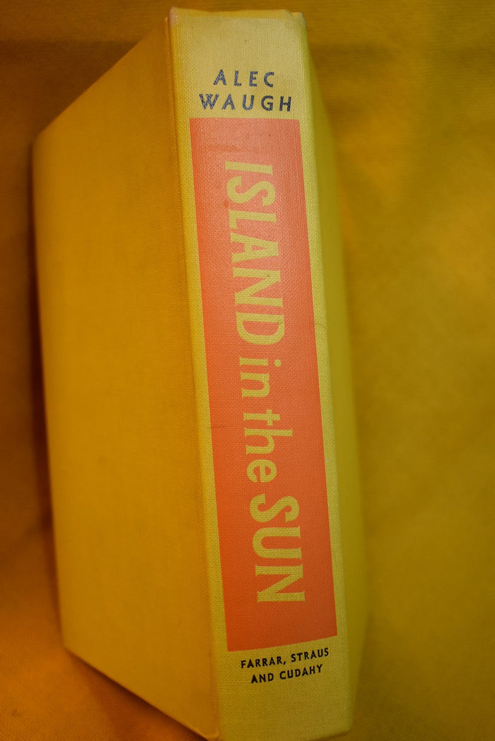 Island in the Sun: A Story of the 1950s Set in the West Indies