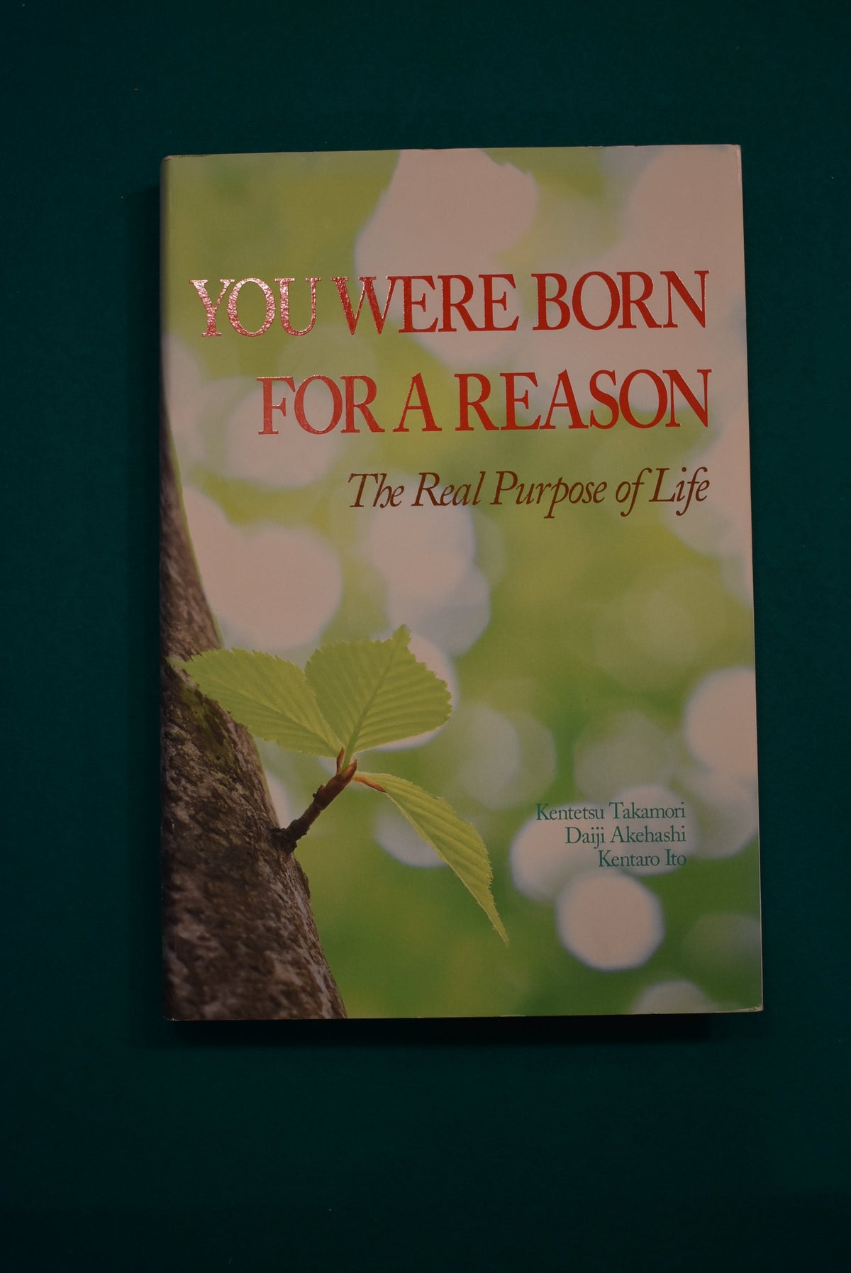 You Were Born for a Reason: The Real Purpose of Life