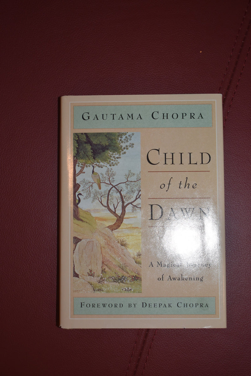 Child of the Dawn: A Magical Journey of Awakening