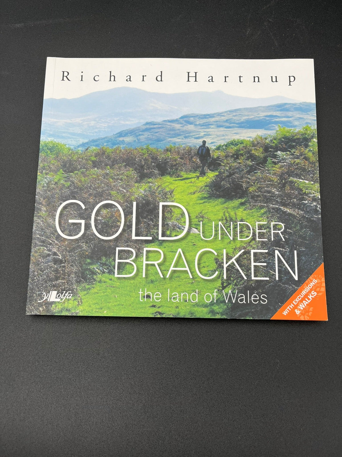 Gold Under Bracken