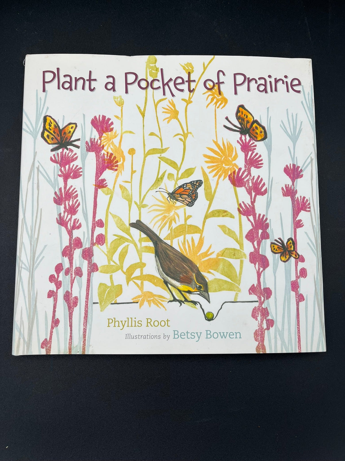 Plant A Pocket of Prairie