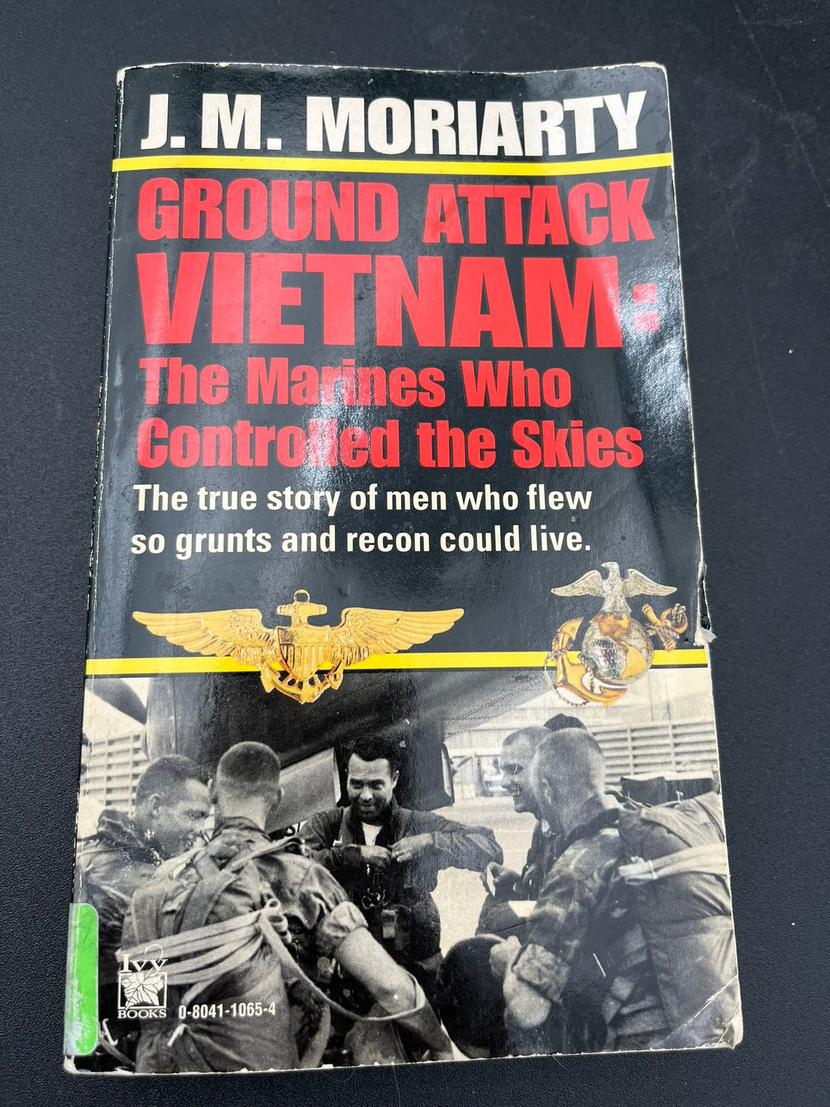 Groound Attack Vietnam: The Marines Who Controlled the Skies