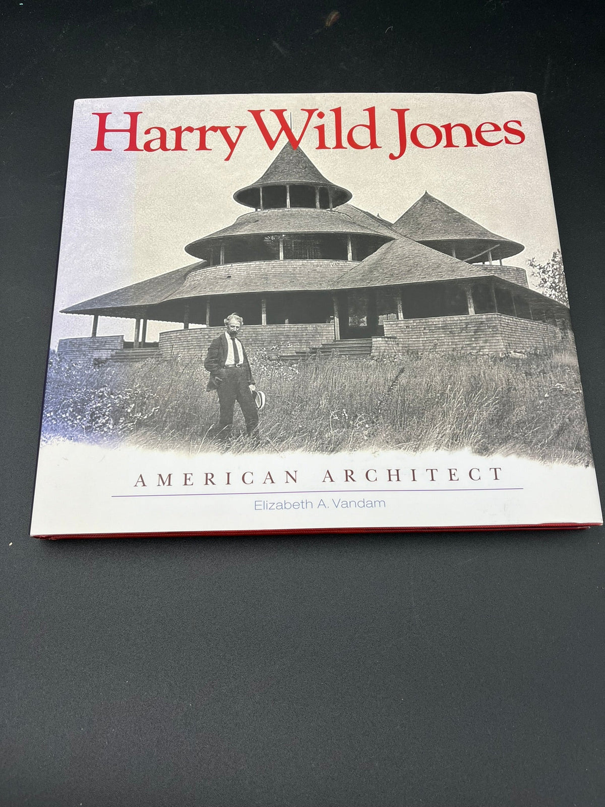 Harry Wild Jones : American Architect