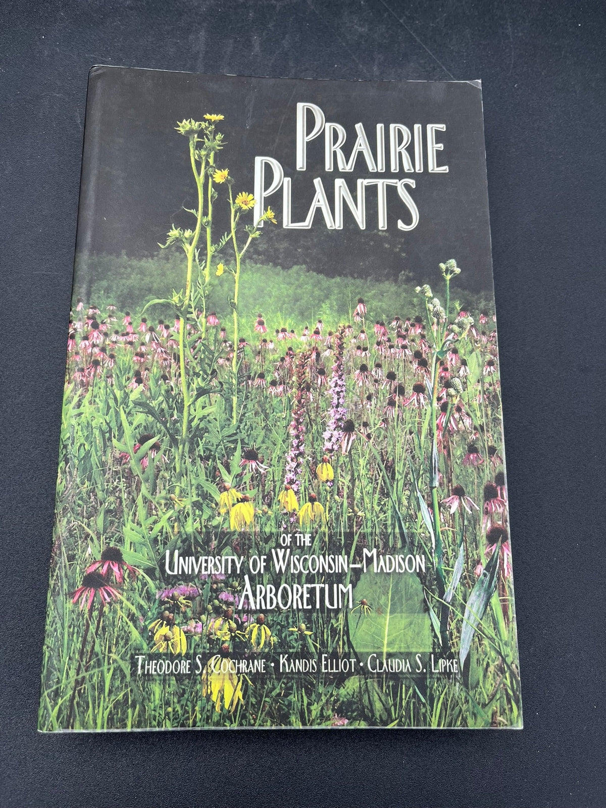 Prairie Plants