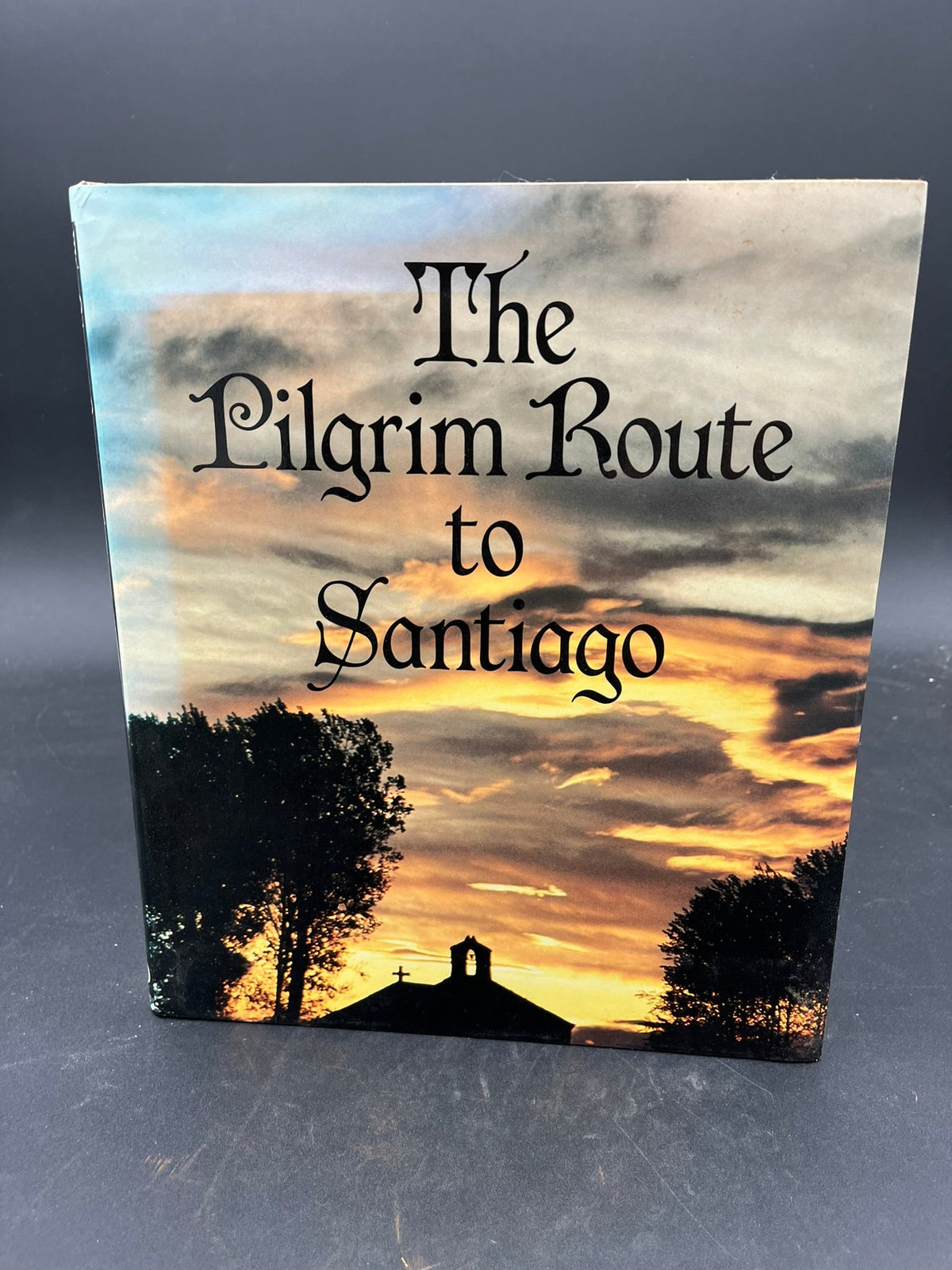 The Pilgrim Route to Santiaago