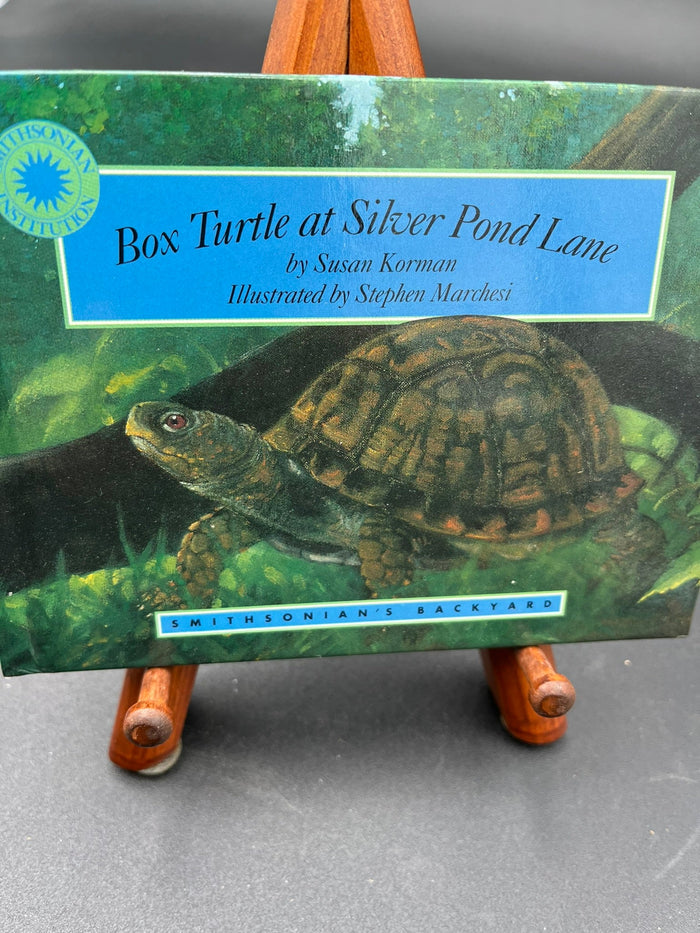 Box Turtle at Silver Pond Lane