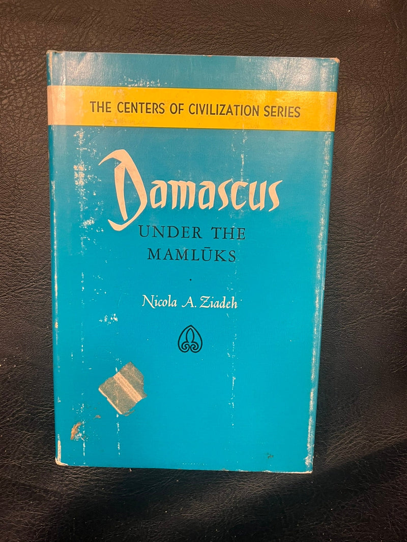 Damascus Under The Mamluks