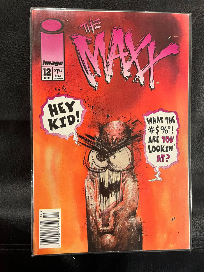 The Maxx #12