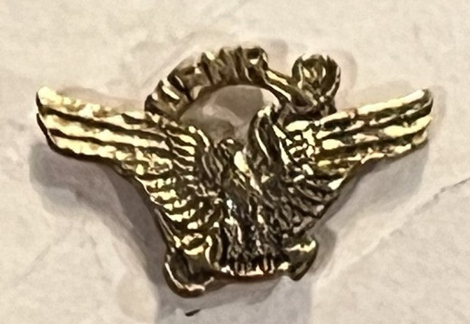 USNR pin