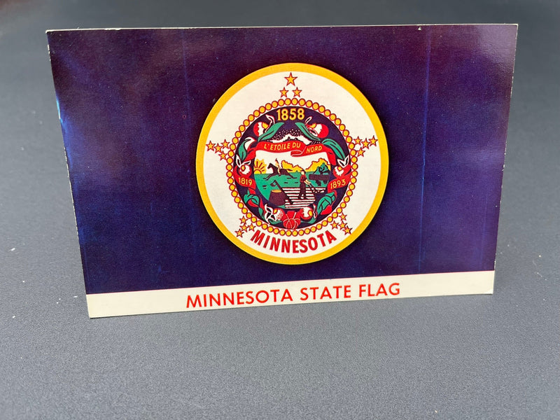 The REAL Minnesota Flag 1