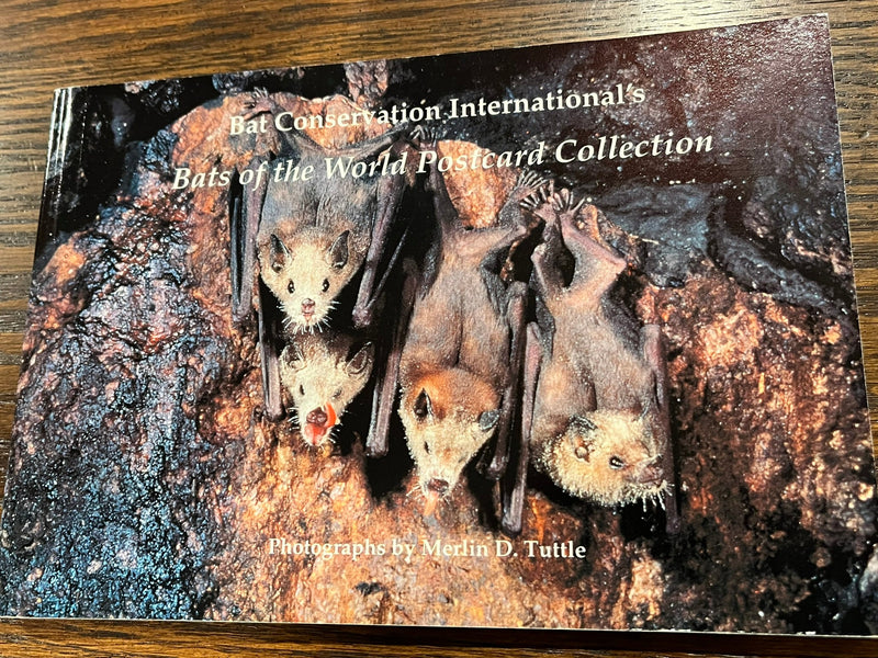 Bats of the World Postcard Collection