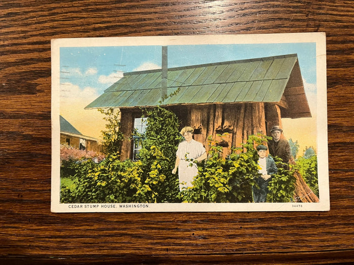 Cedar Stump House - Washington