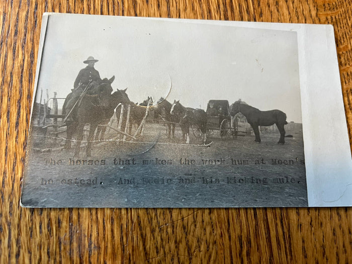 Saskatchewan Cowboys