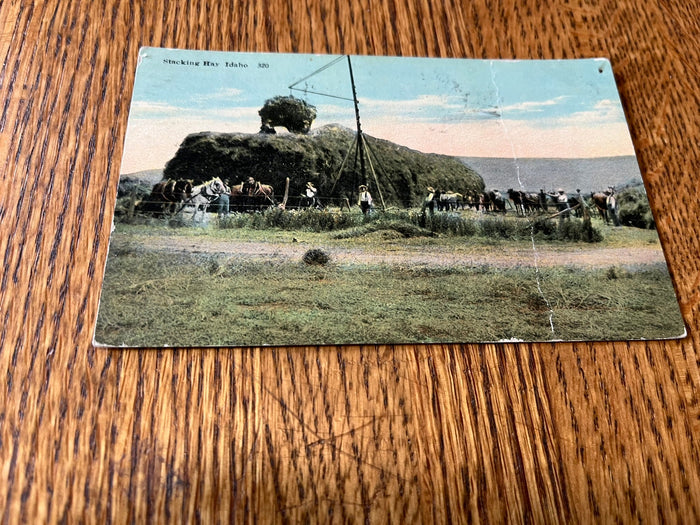 Hay Stacking - Idaho 1911