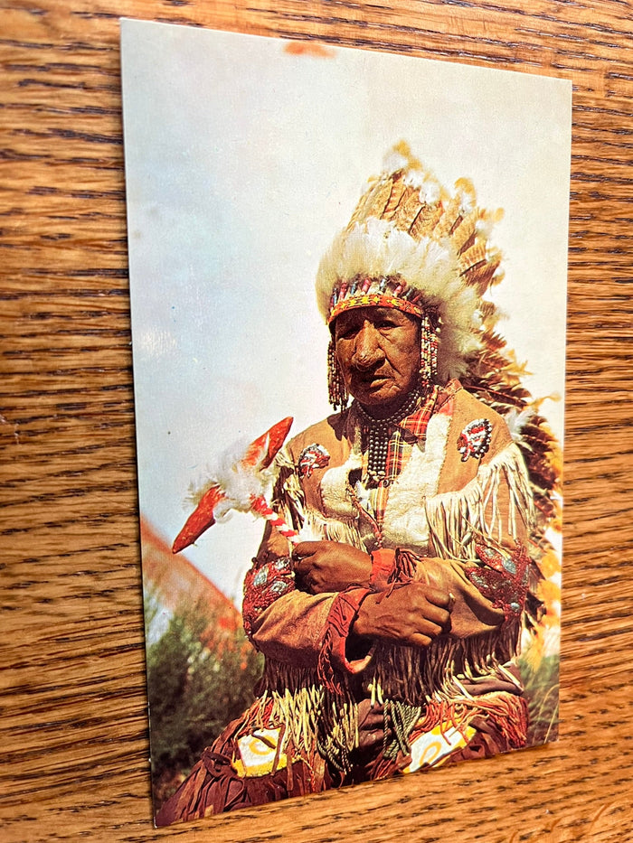 Indian Chief. Seated.