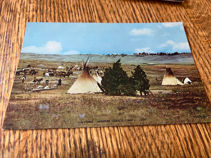 Cheyenne American Horse's Camp 1889