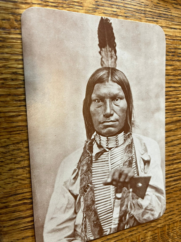 Low Dog - Oglala Sioux Chief