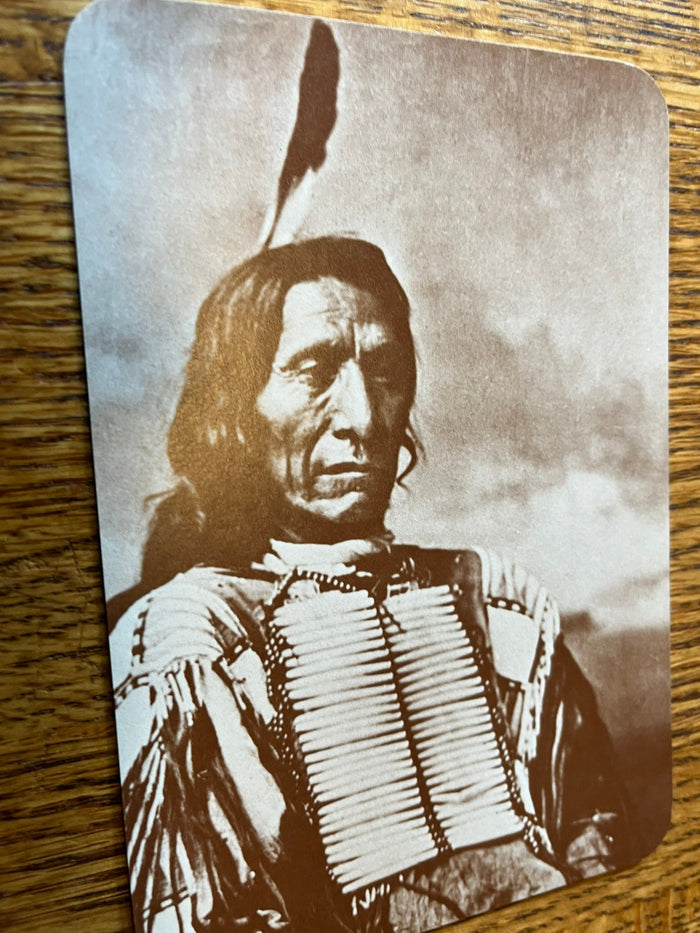 Red Cloud - Chief of the Sioux