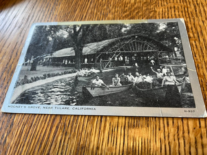 Mooney's Grove Near Tulare, California