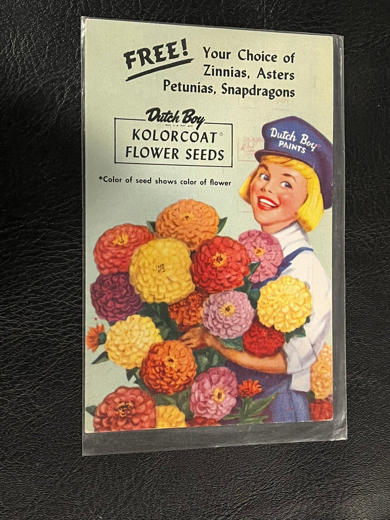 Dutch Boy Flower Seeds