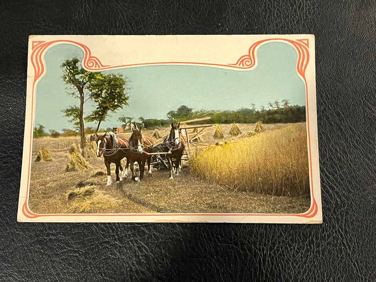 Harvest Time - St. James, MInnesota 1914