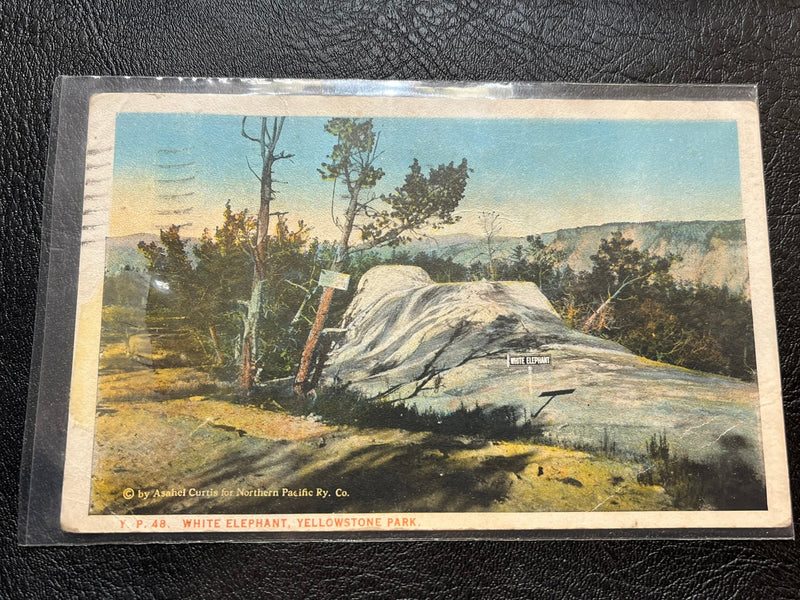 White Elephant - Yellowstone 1928