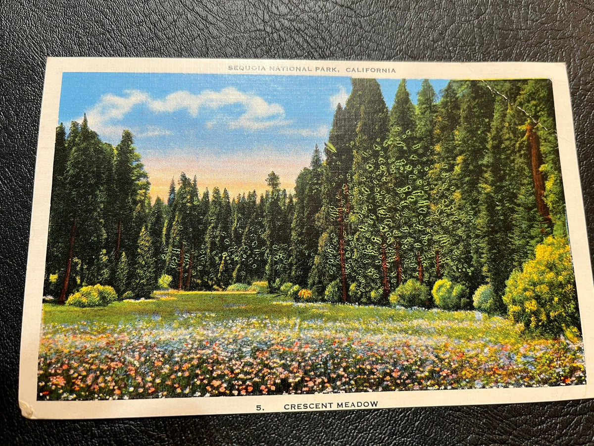 Crescent Meadow - Sequoia National Park California 1940