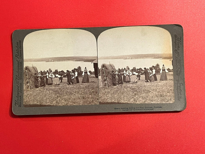 Merry Making during the Hay Harvest - Sweden