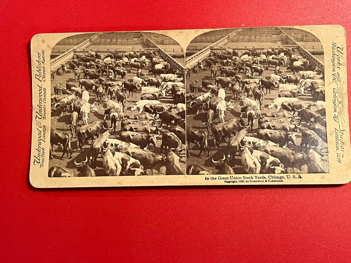 Chicago Union Stockyards 1893