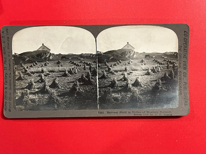 Harvest Field - Western Norway 1910