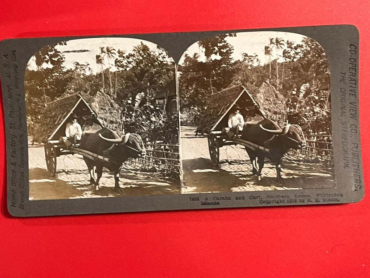 A  Caraba and Cart. Luzon, Philippines