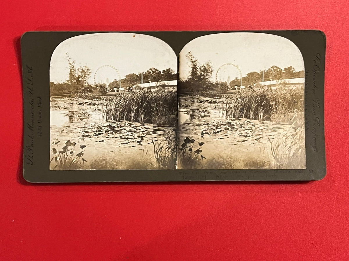 St. Louis World's Fair - Agricultural Exhibit