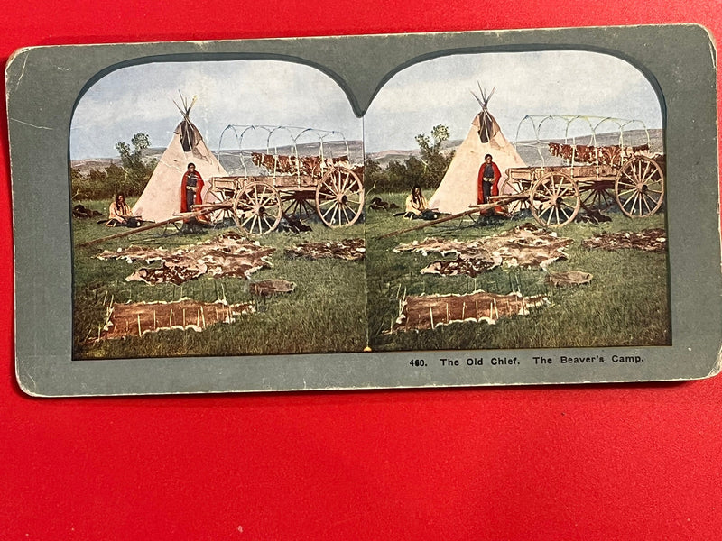 The Old Chief - Beavers Camp - Sioux - 1899