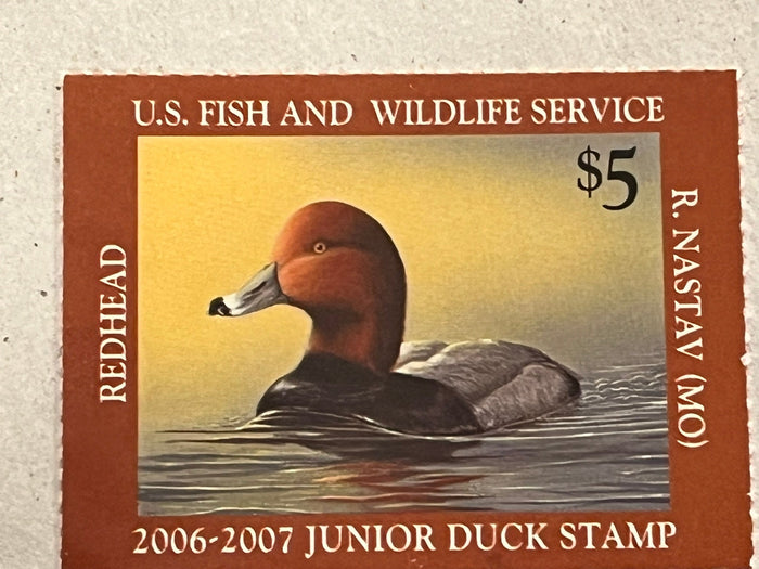 JDS1 Junior Duck Stamp $5.