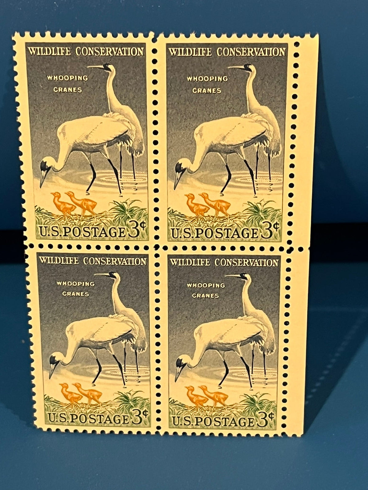 3c Whooping Cranes - Wildlife Coinservation