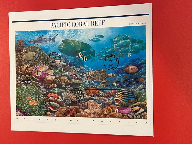 Pacific Coral Reef Set