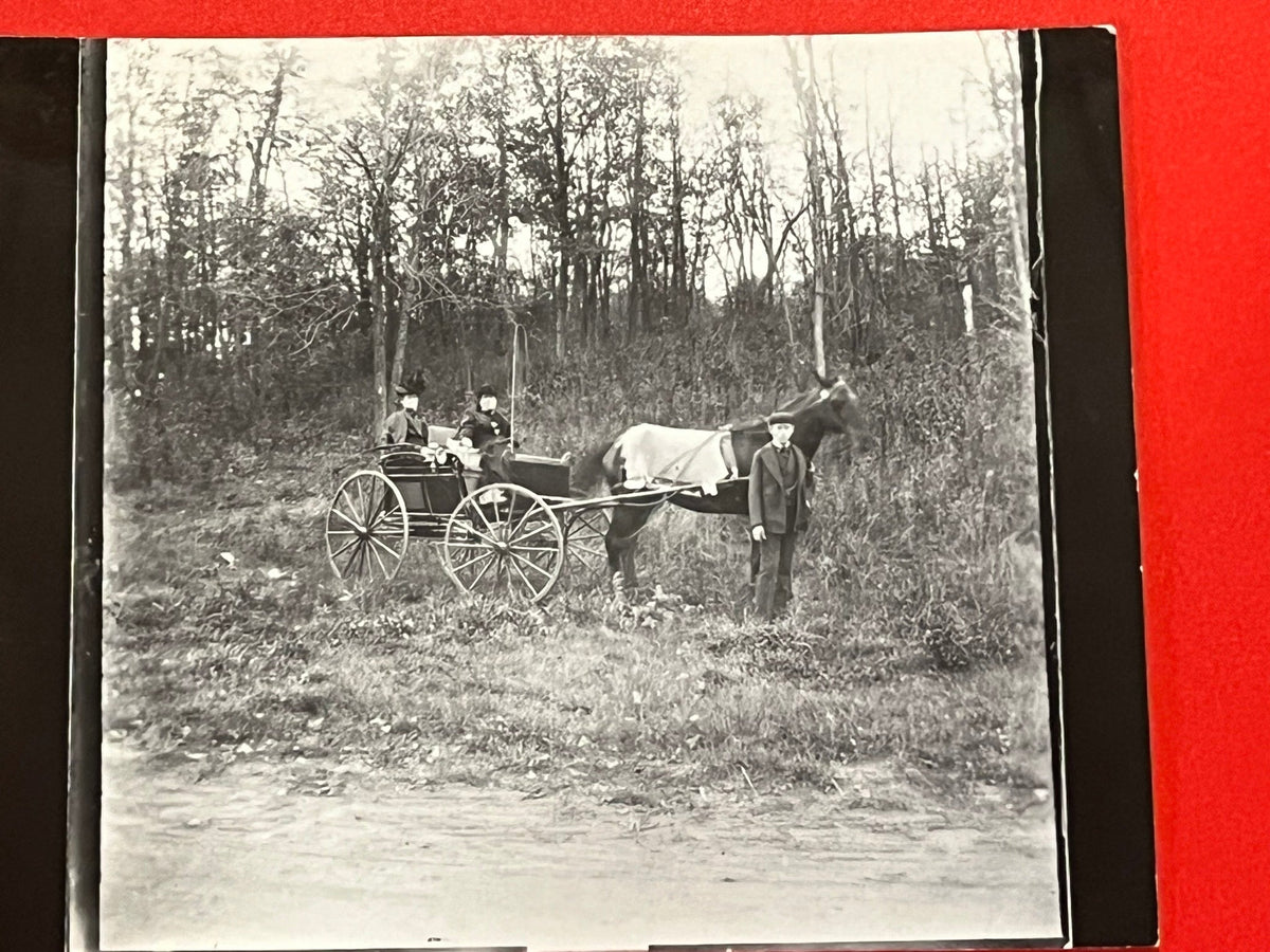 Horse and buggy - Lake Phalen - St. Paul Minnesota 1898 ca.